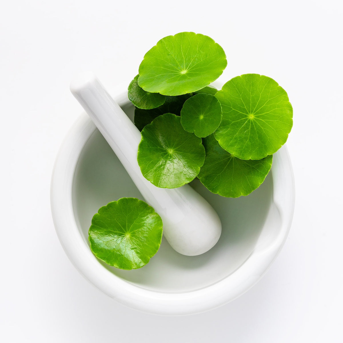 Green leaves and Avarelle Multi-Dart Patch with cica in a white mortar with pestle on a white background.